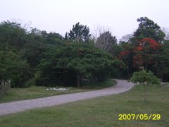 Archivo:41192484 eeee.jpg