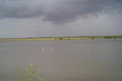 Vista panorámica de la laguna