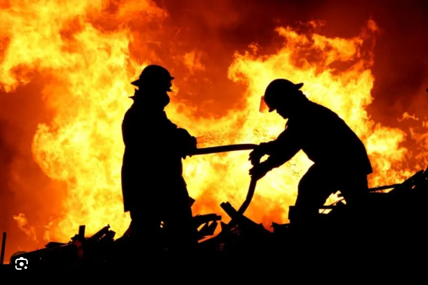 Archivo:Screenshot 2024-02-20 021517.png