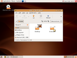 Ubuntu 6.06.png