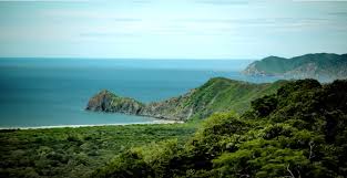 ‎ (313 × 161 píxeles; tamaño de archivo: 8 KB; tipo MIME: image/jpeg)