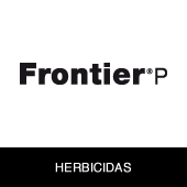 Frontier p.gif