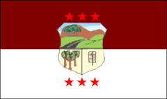 Archivo:Bandera Distrito Caaguazú Paraguay.jpeg