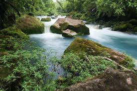 Archivo:Barra Colorado portada.jpeg