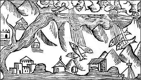 Archivo:Lluvia animales Singapur.jpg