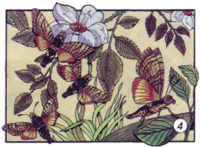 Archivo:Mariposa Colade Paloma.jpg