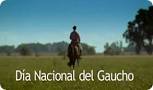 Dia del gaucho.jpg