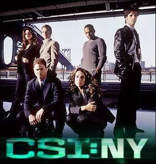 Archivo:Csi-new-york.jpg