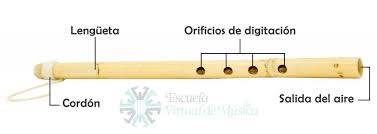 Archivo:Caña del millo.jpg