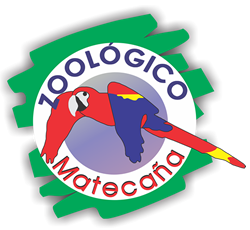 Logozoologico pereira.png