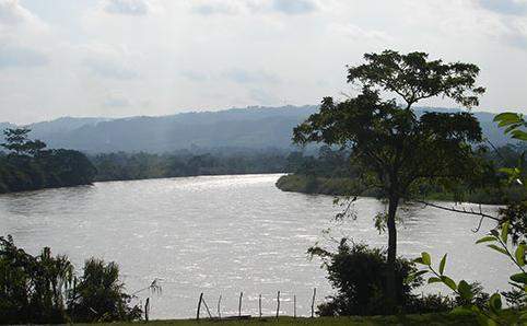 Archivo:Parque natural paramillo cordoba.jpg
