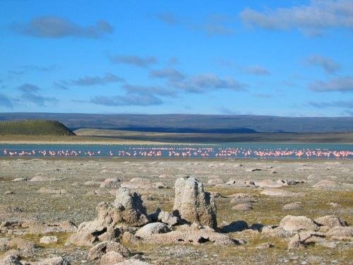 Monumento Natural Laguna de los Cisnes EcuRed