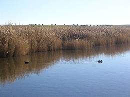 Tablas-deDaimiel1.jpg