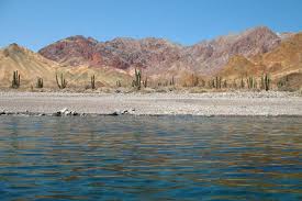 Archivo:Isla angel de la guardia.jpg