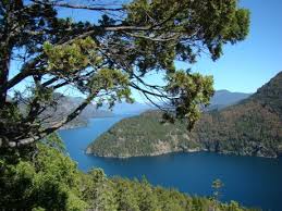 Parque Nacional Campos del Tuyú.jpg
