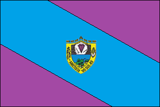 Archivo:Bandera de Ametista do Sul.png