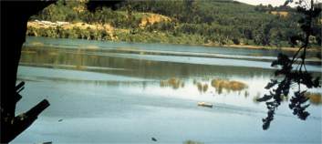 Archivo:Humedales Río Cruces.jpg
