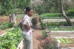 Archivo:La Nenita UBPC.jpg