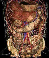 Epilepsia abdominal.jpg