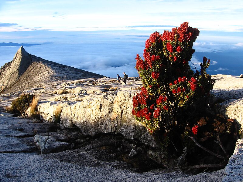 Archivo:Monte Kinabalu2.jpg