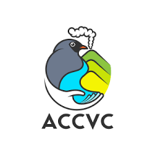 ACCVCentral logotipo.png