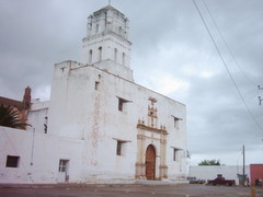 Archivo:6568942 alamo.jpg