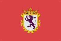 Bandera de De León