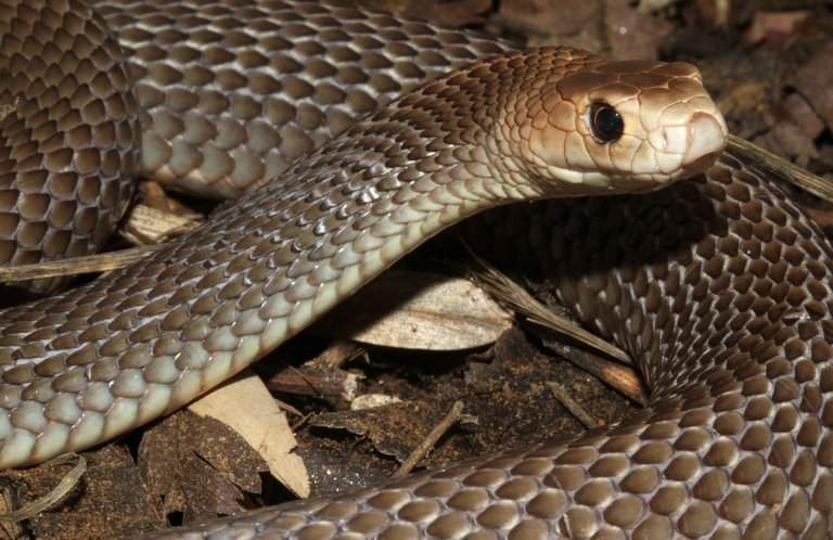 Archivo:Foto 0000000320121220063530.jpg