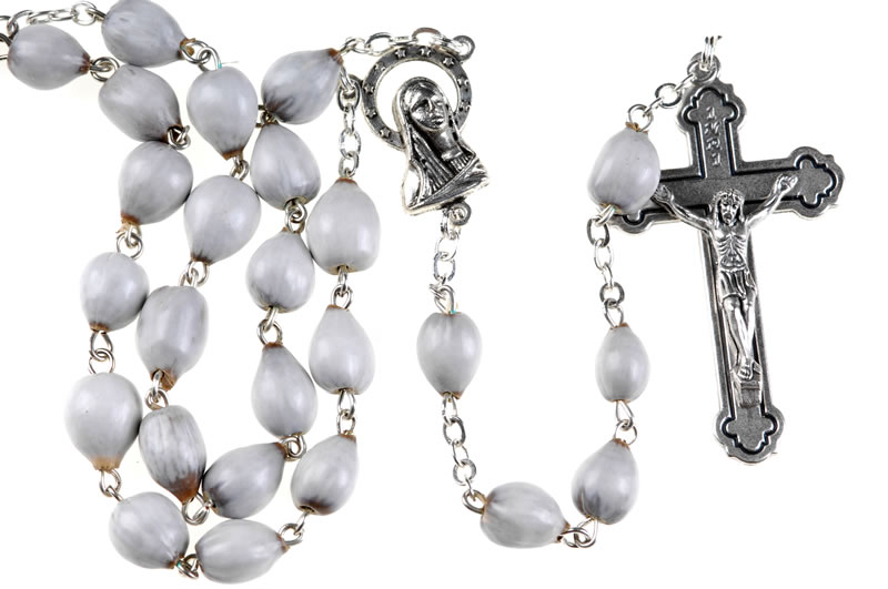 Archivo:Rosario de Lágrimas de Job.jpg