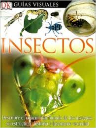 Insectos libro00.jpg
