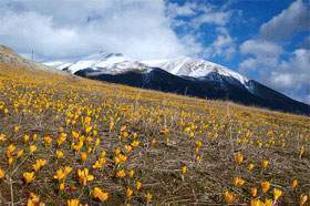 Archivo:Monte-olimpo 1.jpg