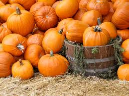 Calabaza Castilla.jpg