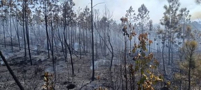 Archivo:Incendios de grandes proporciones Minas de Matahambre.jpg