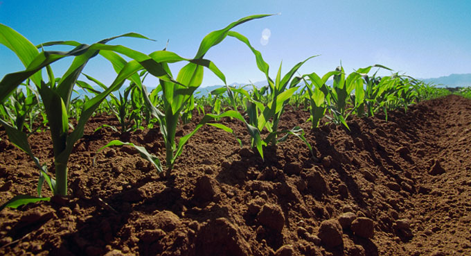 Agricultura-conservacion Une nouvelle vision de l'agriculture