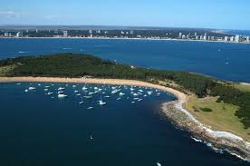 Isla Gorriti portada.jpg