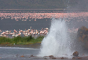 LagoBogoria.jpg
