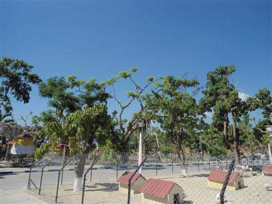 Archivo:Recuperacion-zoologico-de-santiago-de-cuba-11.jpg
