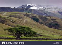 Archivo:Montañas de Cypress.jpg