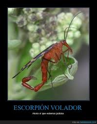 Archivo:EVolador3.jpeg