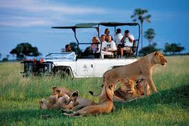 Parque nacionla Aberdare.jpg