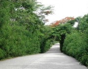 Entrada de El Valle.JPG