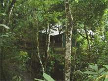 Muncipio de Campech..jpg