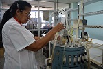 CEINPET Mujeres.jpg