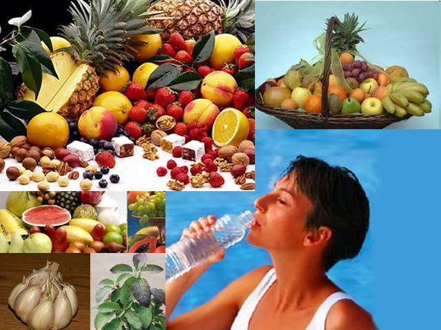 Archivo:Nutrición Humana.jpg