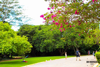 Parque villalobos.png