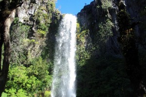 Archivo:Reserva Llanquihue1.jpg
