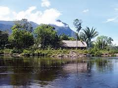 Parque nacional duidamarahuaca.jpg