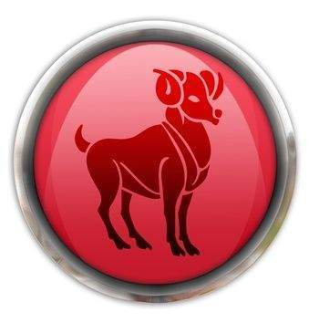 Archivo:Bot aries.jpg