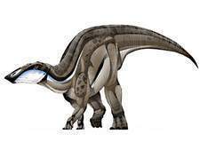 Naashoibitosaurus.jpg