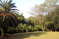 Parque anhanguera.png